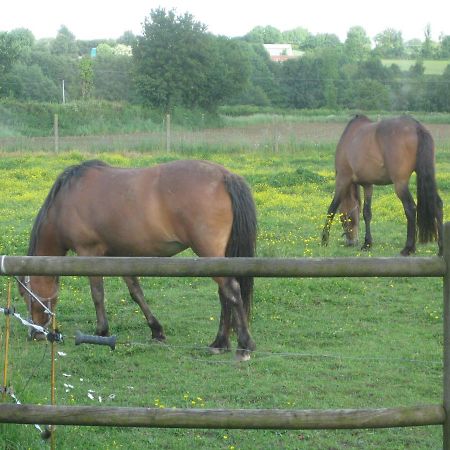 Les Croisettes Bed & Breakfast Le Pin  Exterior foto
