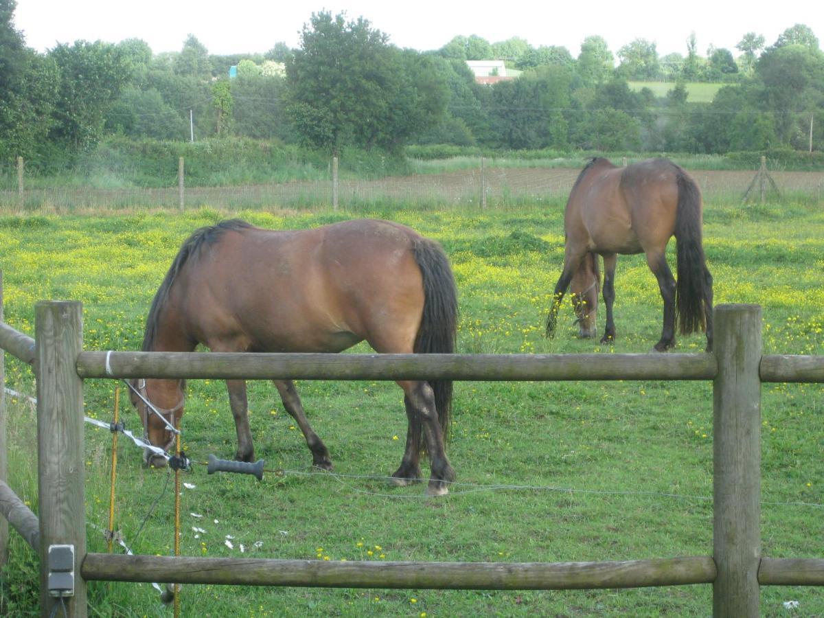 Les Croisettes Bed & Breakfast Le Pin  Exterior foto